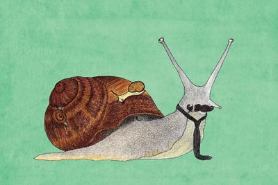Mr. Snail by Barruf canvas print