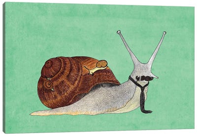 Mr. Snail Canvas Art Print - Snail Art