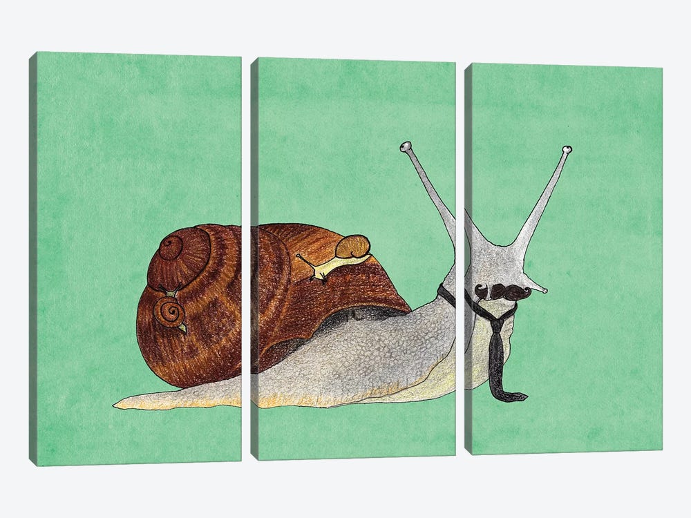 Mr. Snail by Barruf 3-piece Canvas Wall Art