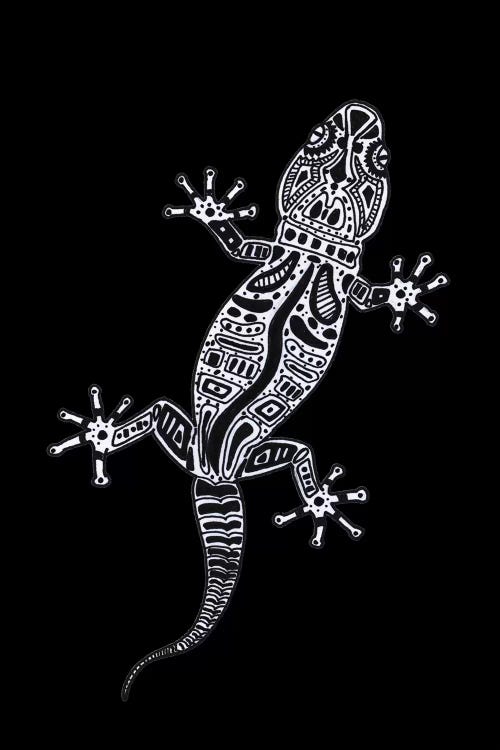 Ornate Lizard