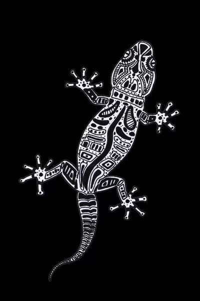 Lizards: Ornate Lizard by Barruf