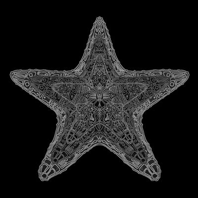 Ornate Starfish by Barruf canvas print