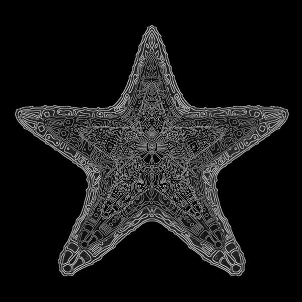 Starfish: Ornate Starfish by Barruf