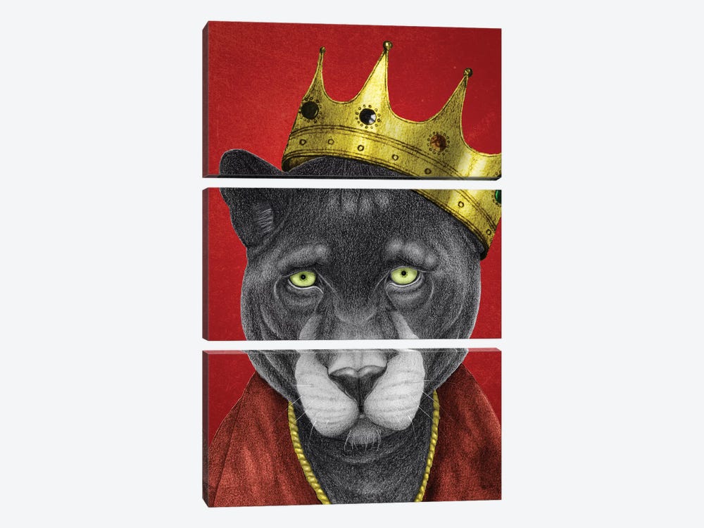 Panther King by Barruf 3-piece Canvas Art Print