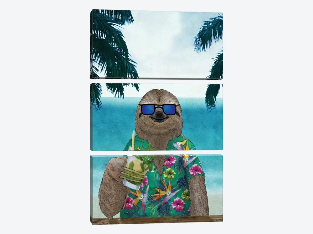 Summer Sloth by Barruf 3-piece Canvas Art