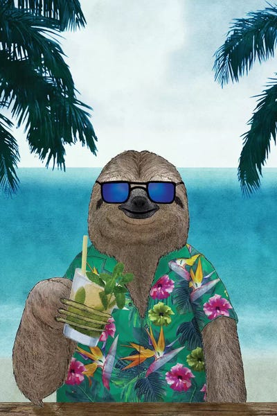 Sloths: Summer Sloth by Barruf