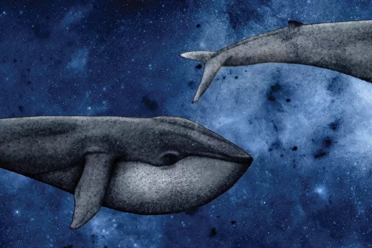 The Whale Who Met Itself by Barruf wall art