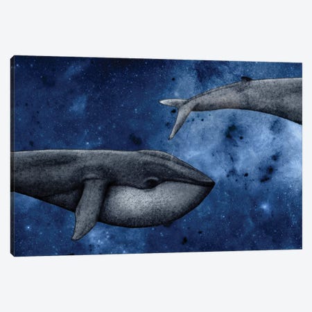 The Whale Who Met Itself Canvas Print #BRF65} by Barruf Canvas Wall Art
