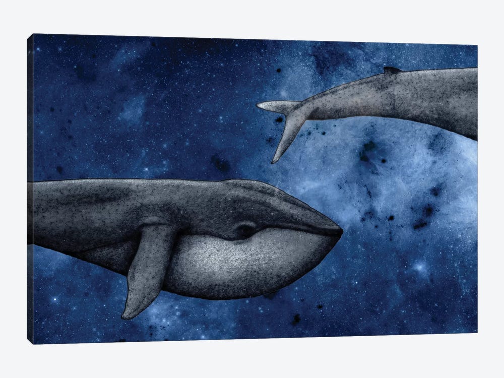 The Whale Who Met Itself by Barruf 1-piece Canvas Art Print