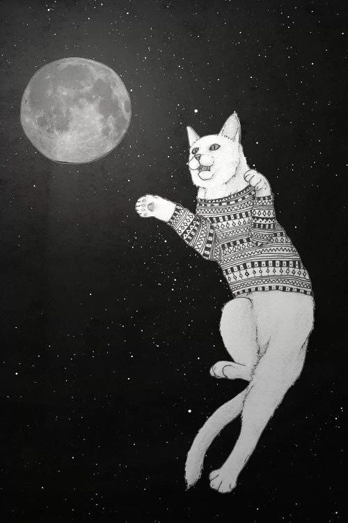 Cat Trying To Catch The Moon