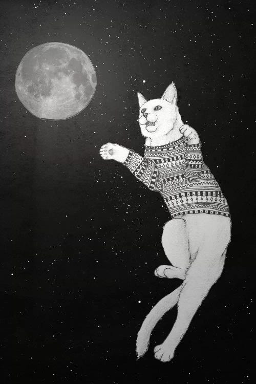 Cat Trying To Catch The Moon by Barruf wall art