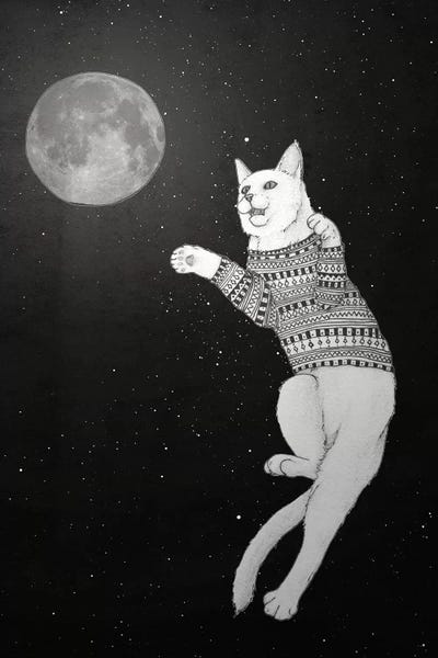 Barruf: Cat Trying To Catch The Moon by Barruf