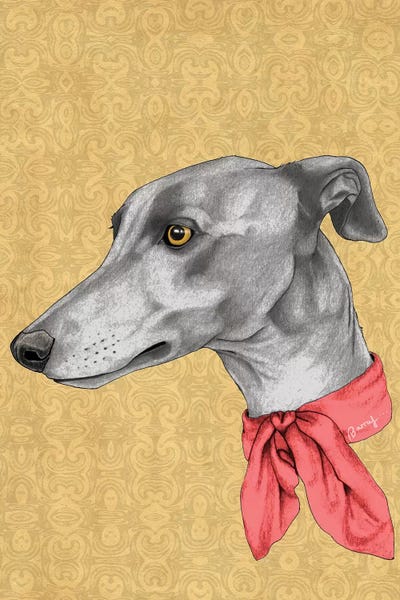 Greyhound With Scarf by Barruf metal wall art