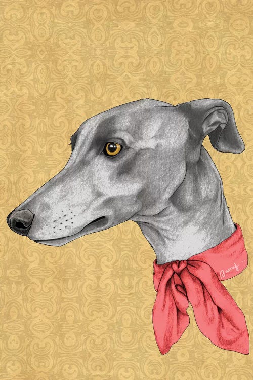 Greyhound With Scarf by Barruf wall art
