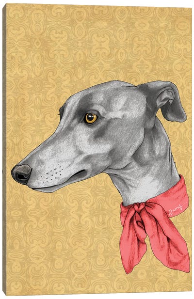 Greyhound With Scarf Canvas Art Print - Barruf