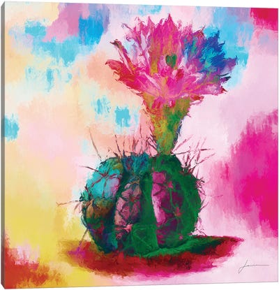 Desert Bloom I Canvas Art Print - James Burghardt