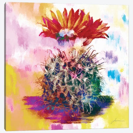Desert Bloom III Canvas Print #BRG21} by James Burghardt Canvas Art