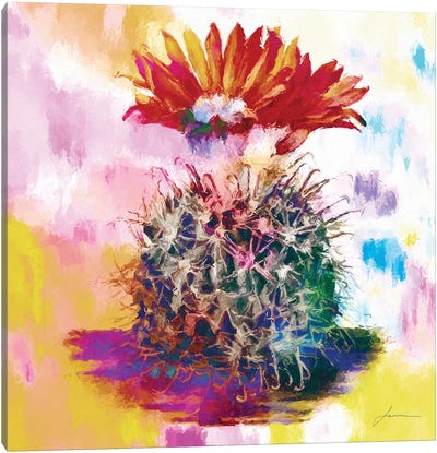 Desert Bloom III Canvas Art Print - James Burghardt