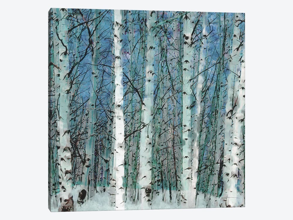 Birchgrove by James Burghardt 1-piece Canvas Art Print
