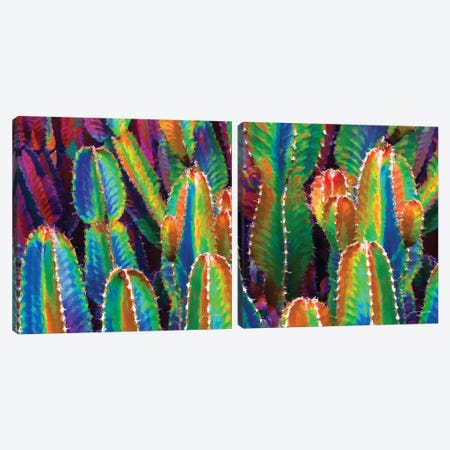 Neon Desert Diptych Canvas Print Set #BRG2HSET001} by James Burghardt Canvas Wall Art