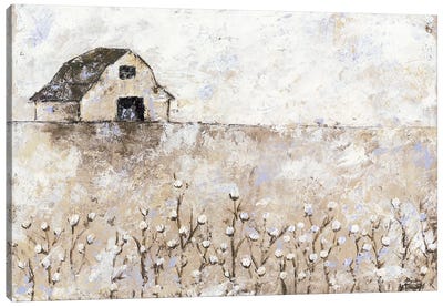 Cotton Farms Canvas Art Print - Rustic Décor