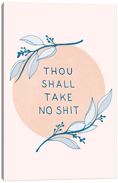 Take No Shit Canvas Art Print - Unfiltered Thoughts