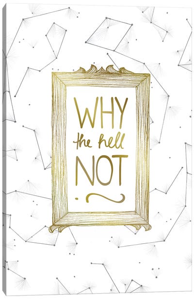 Why Not Canvas Art Print