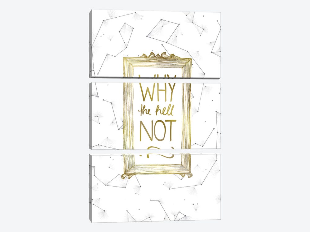 Why Not by Barlena 3-piece Canvas Print