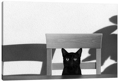Where Is My Coffee? Canvas Art Print - Black Cat Art