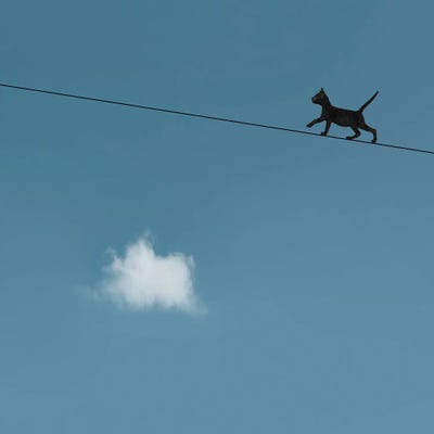 Walk The Line by Jon Bertelli canvas print