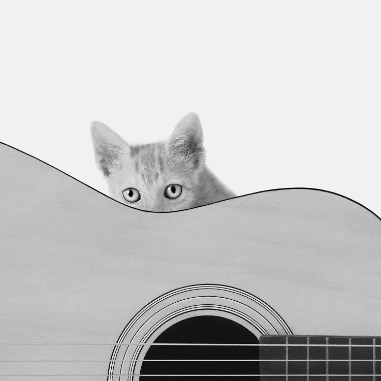 Whiskers And Strings