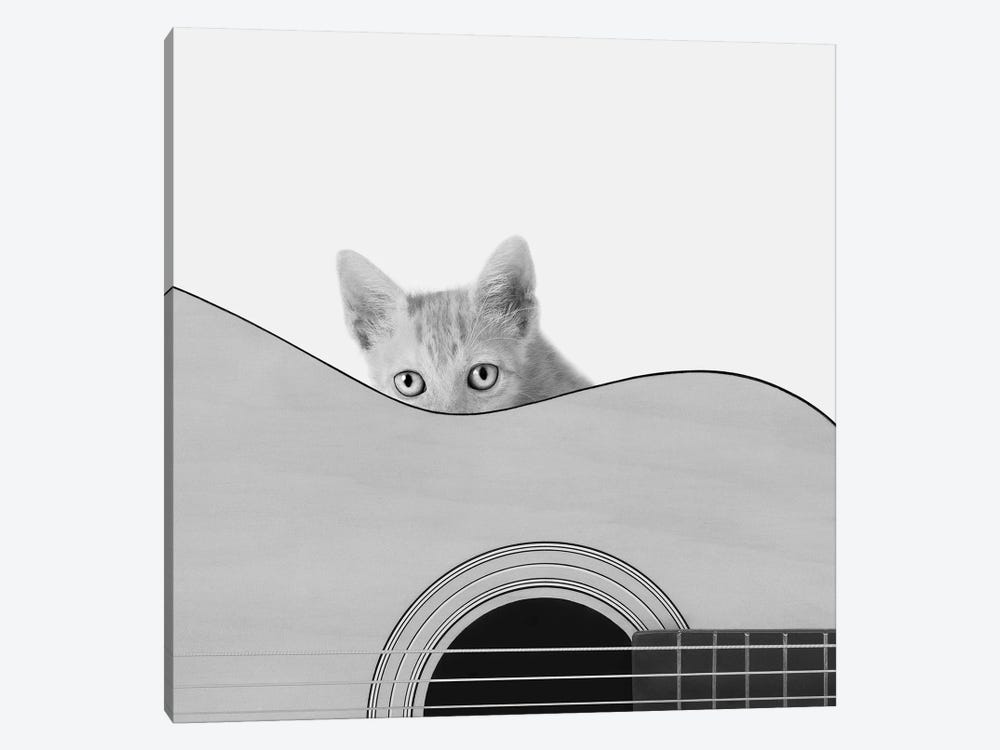 Whiskers And Strings by Jon Bertelli 1-piece Canvas Artwork