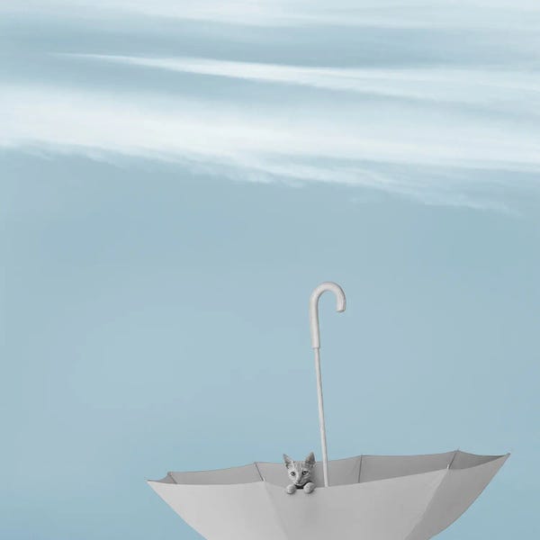 Kittens: Bon Voyage by Jon Bertelli