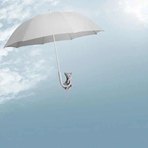 Kittens: Riding The Skies by Jon Bertelli