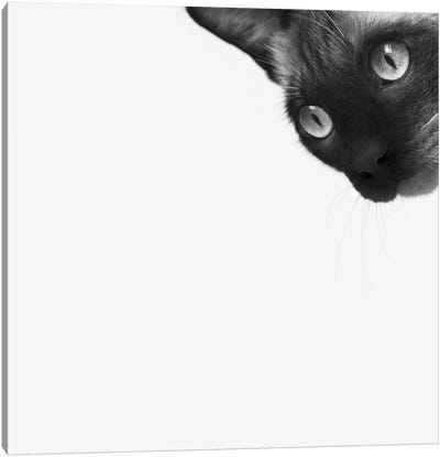 Be Brave Canvas Art Print - Black & White Animal Art