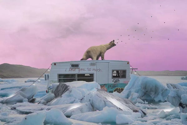 Bears: Breaking The Ice by Jason Brueck