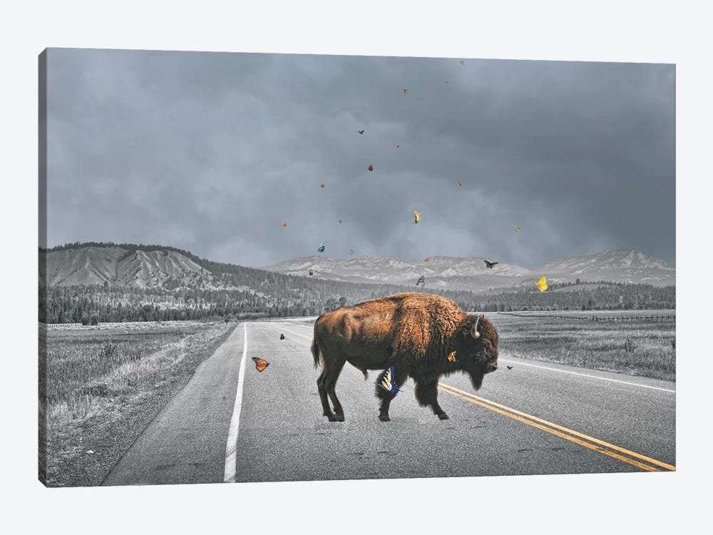 Buffalo Wings by Jason Brueck 1-piece Art Print