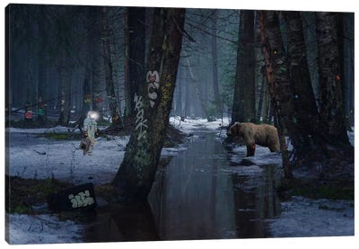 Clashing Colors Canvas Art Print - Grizzly Bear Art