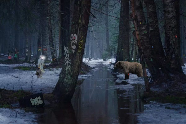 Grizzly Bears: Clashing Colors by Jason Brueck