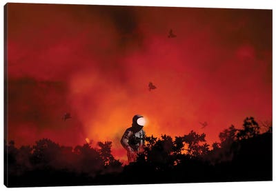 From The Ashes Canvas Art Print - Jason Brueck