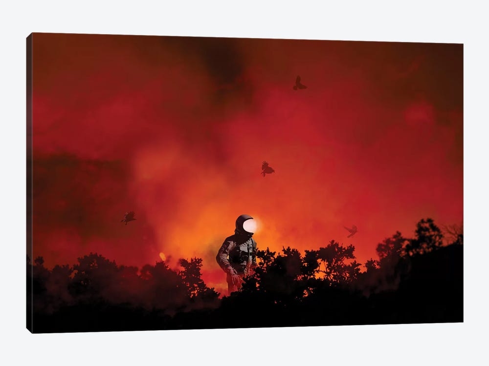 From The Ashes by Jason Brueck 1-piece Canvas Art