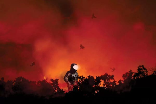 Space Fiction: From The Ashes by Jason Brueck