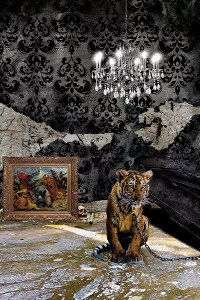 Tigers: Glory Days by Jason Brueck