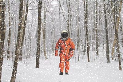 Winter Wonderland