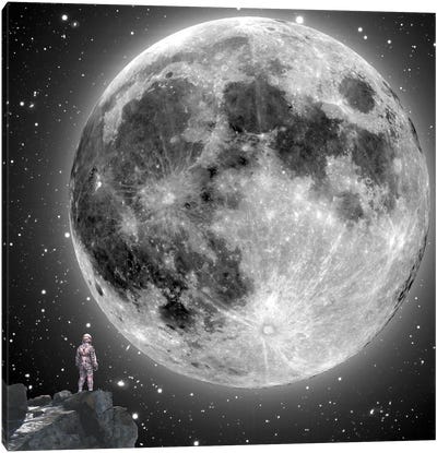 Moonstruck Canvas Art Print - Photographic Dreamland