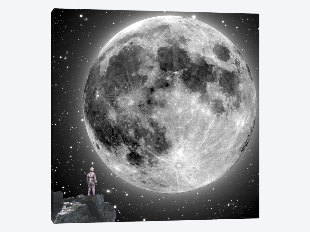 Moonstruck by Jason Brueck 1-piece Art Print
