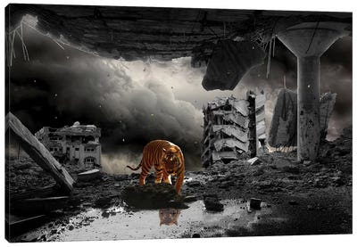 A Most Curious Catastrophe Canvas Art Print - Tiger Art