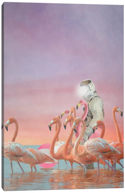 The Decoy Canvas Art Print - Flamingo Art