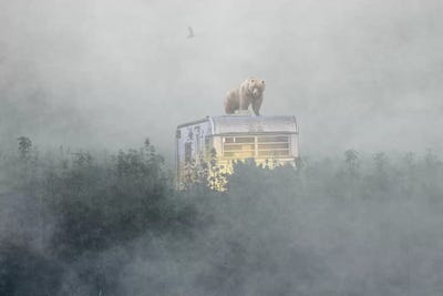 Becoming The Hunted by Jason Brueck framed wall art