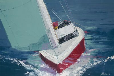 Day Sailing by John Burrows canvas print